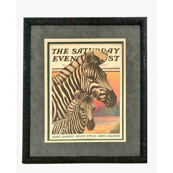 Zebra Print The Saturday Evening Post Magazine Cover Safari Art Vintage Decor